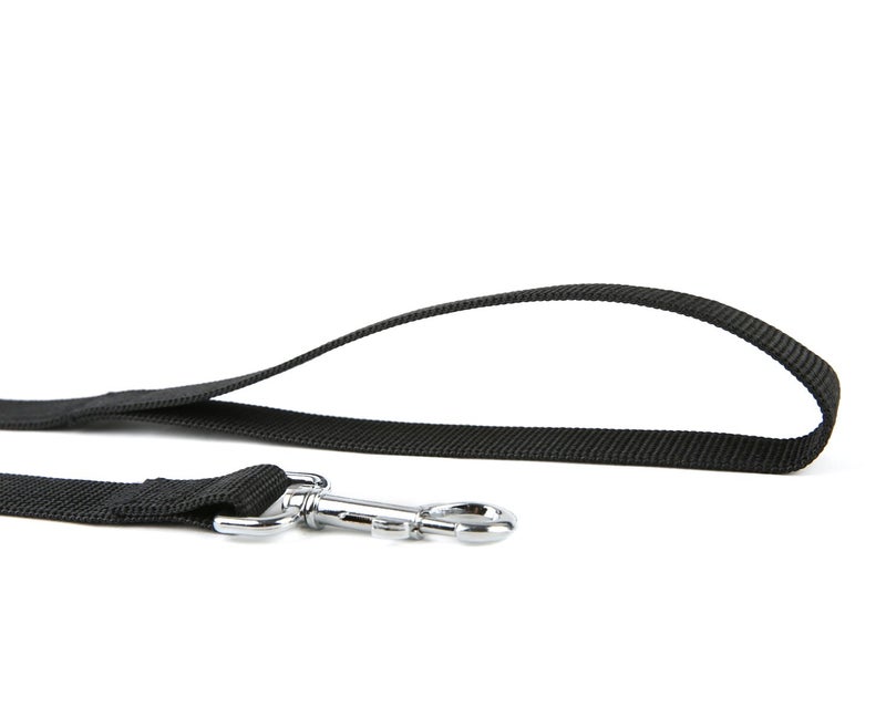 Taida Strong Nylon Dog Leash, for Medium Large Dogs Walking, Training or Exploring, 10 feet Long 1 inch Wide - Image 3